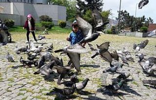 Zonguldak’ta minikler parklara akın etti