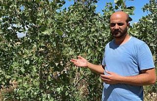 Genç öğretmen, Aralık rüzgar erozyonunda Antep...