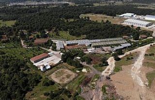 İYİ Parti Gen. Bşk. Yrd. Türkkan'ın kaçak...