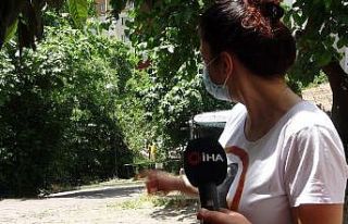 (Özel) Beşiktaş’ta vatandaşların yol isyanı