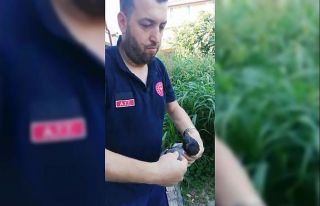 112 personelinden uçamayan güvercine yardım eli