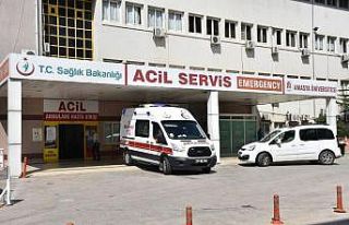 113 acemi kasap hastanelik oldu