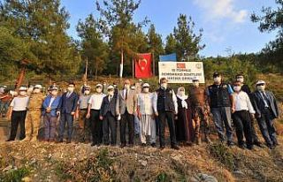 15 Temmuz Demokrasi Şehitleri Hatıra Ormanı’na...