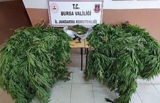 20 yıl hapis cezası bulunan şüpheli ormanlık...