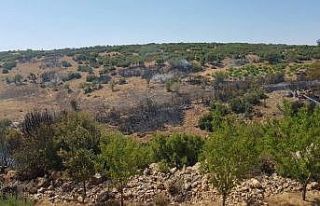 2 saatte kontrol altına alınan orman yangınında...