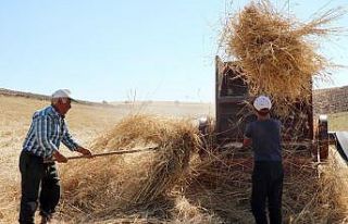 30 derecede kışlık yem mücadelesi