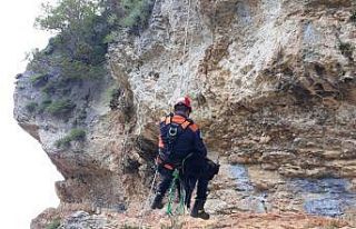 50 metrelik uçurumda mahsur kalan keçiyi kucağında...