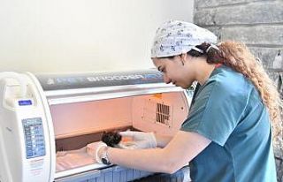 6 ayda 360 kedi ve köpeğin tedavisi yapıldı