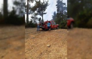 Adana’da orman yangını