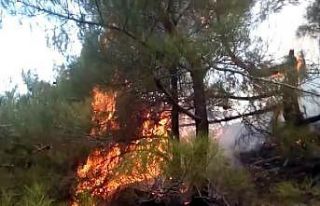Adıyaman’da ikinci orman yangını