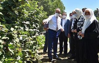 Ahududu’nun yüzde 96.7’si Bursa’dan