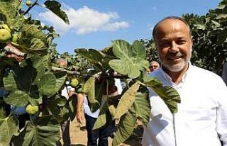 AK Partili Yavuz’dan "Hayırlı olsun"...