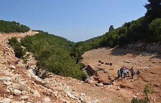 Akduman, bal ormanı çalışmalarını inceledi