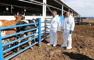 Aksaray ilave çiğ süt desteklemesinde pilot il...