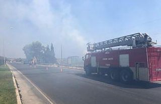 Alanya’da deniz kenarındaki sazlık alan yangını...