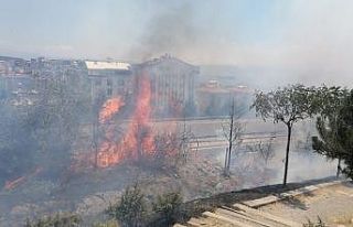 Alkol alırken yaktıkları ateş onlarca ağacı...