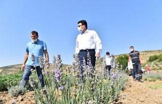 Altıeylül Belediyesi tarımsal kalkınmaya destek...