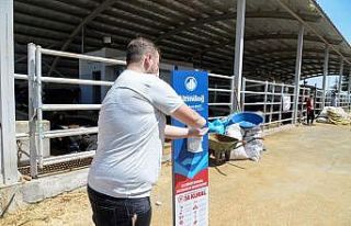 Altındağ’da kurban randevuları başladı