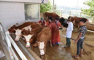Altındağ’da kurbanlıklara sıkı kontrol
