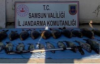 Altınkaya Baraj Gölü’nde zıpkınla kaçak avlanan...