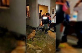 Alzheimer hastası kayıp şahsı iz takip köpeği...