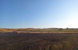 Anız yangını korkuttu