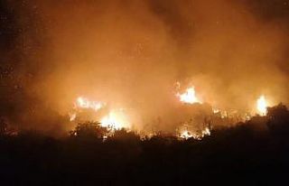 Antalya’da gece başlayan yangında 5 hektarlık...