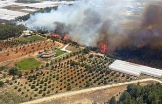 Antalya’da orman yangını