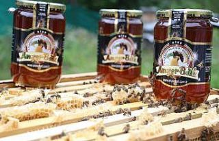 Anzer balı fiyatında bu yıl artış yok