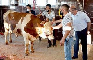 Araban Kaymakamlığı kurban kesemeyen vatandaşların...