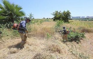 Aratos’un anıt mezarı için kazı çalışmaları...