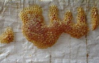 Arıların işlediği "Allah lafzı" şaşırttı