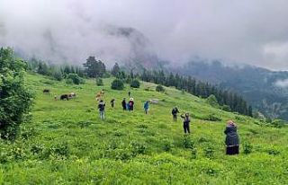 Artvin’de Maden köy şelalesi keşfedilmeyi bekliyor