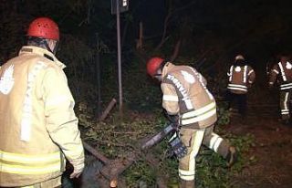 Aşırı hız yapan alkollü sürücü kaza yaptı:...