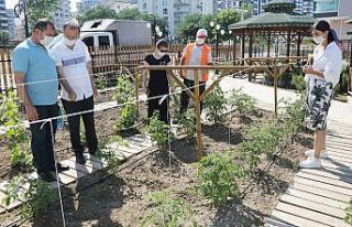 AtaTohum Merkezi Karadeniz’e örnek oldu
