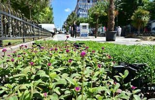 Avcılar rengarenk çiçeklerle donatılıyor