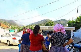 Aydın dağları alevlere teslim oldu