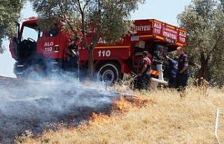 Aydın’da 4 dönüm zeytinlik alan yangında zarar...