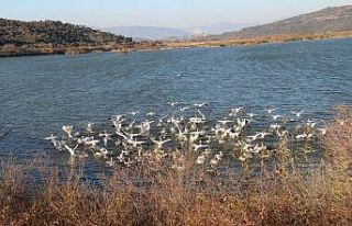 Azap Gölü’nde ekoturizm faaliyetleri yaygınlaşacak
