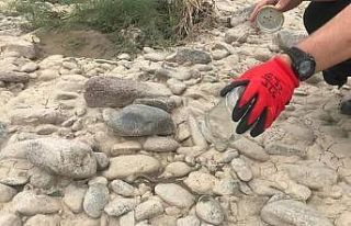 Bahçede bulunan engerek yılanı tekrar doğaya salındı