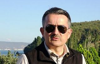 Bakan Pakdemirli: “Orman yangınları kontrol altında”