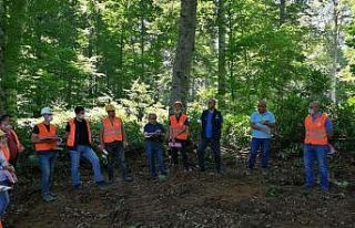 Bakım çalışmaları yerinde incelendi