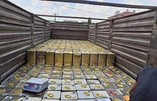 Bal fiyatı arttı arıcılar bayram yapıyor