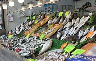 Balık az olunca fiyatlar cep yakıyor