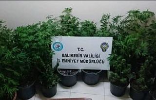 Balıkesir’de 5 uyuşturucu taciri yakalandı