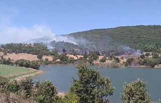 Balıkesir’de orman yangını