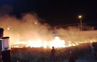 Balıkesir’de ot yangını geceyi aydınlattı