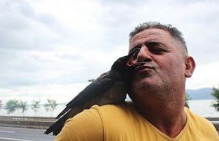 Başına gelmeyen kalmayan kargayı kelle paça ve...