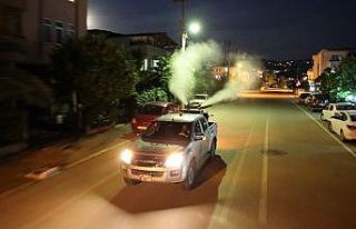 Başiskele’de vektörlerle mücadele sürüyor