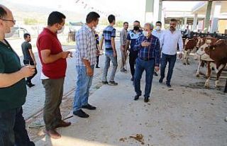 Başkan Akkaya’dan hayvan pazarına ziyaret